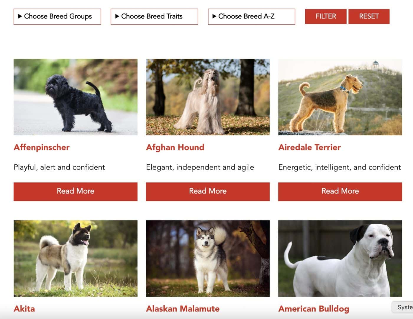 iHeartDogs Launches the Ultimate Guide to 200+ Dog Breeds, a Comprehensive Resource for Dog Lovers Everywhere iHeartDogs Launches the Ultimate Guide to 200+ Dog Breeds, a Comprehensive Resource for Dog Lovers Everywhere
