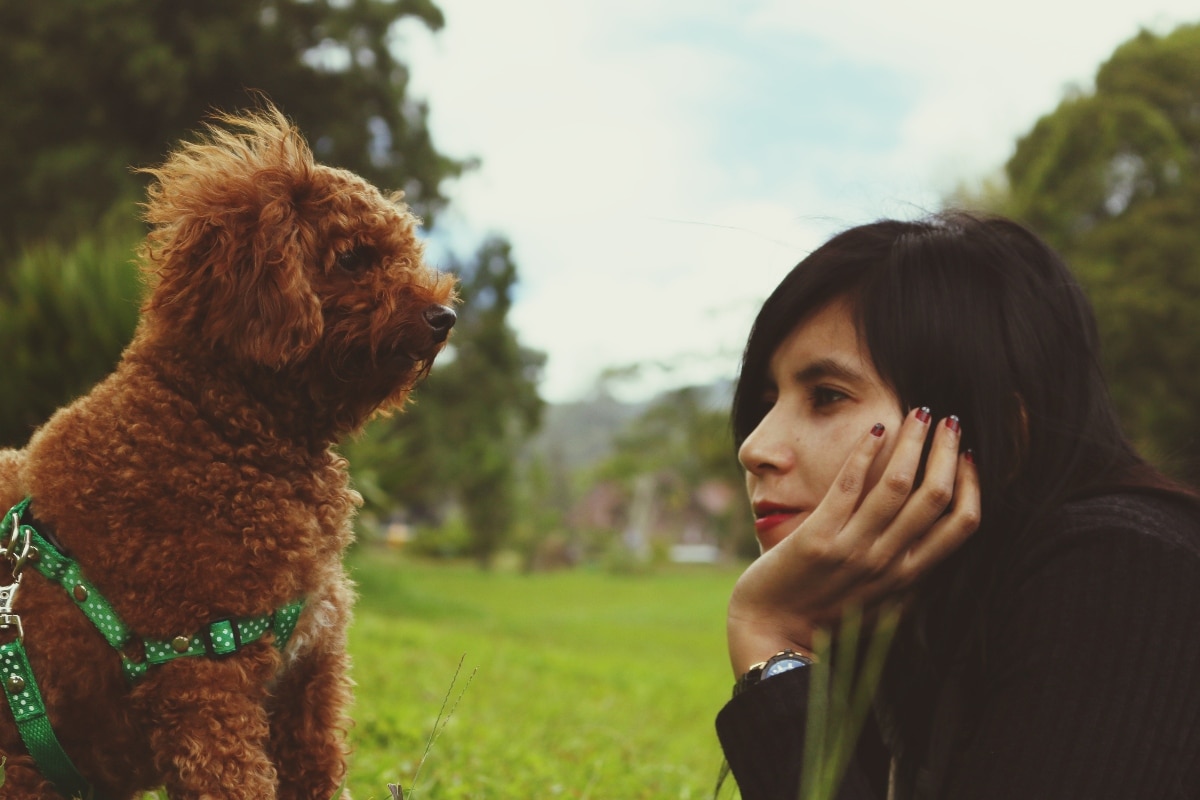 11 Reasons Dogs Are More Like Us Than We Think 11 Reasons Dogs Are More Like Us Than We Think