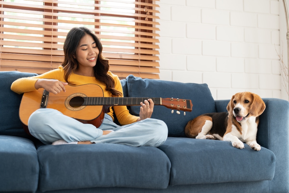 13 Irresistible Dog Breeds That Blend Charm & Loyalty 13 Irresistible Dog Breeds That Blend Charm & Loyalty