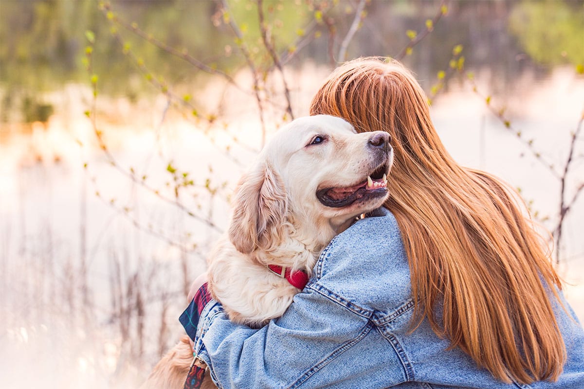 13 Snuggly Dog Breeds That Feel Like a Hug 13 Snuggly Dog Breeds That Feel Like a Hug