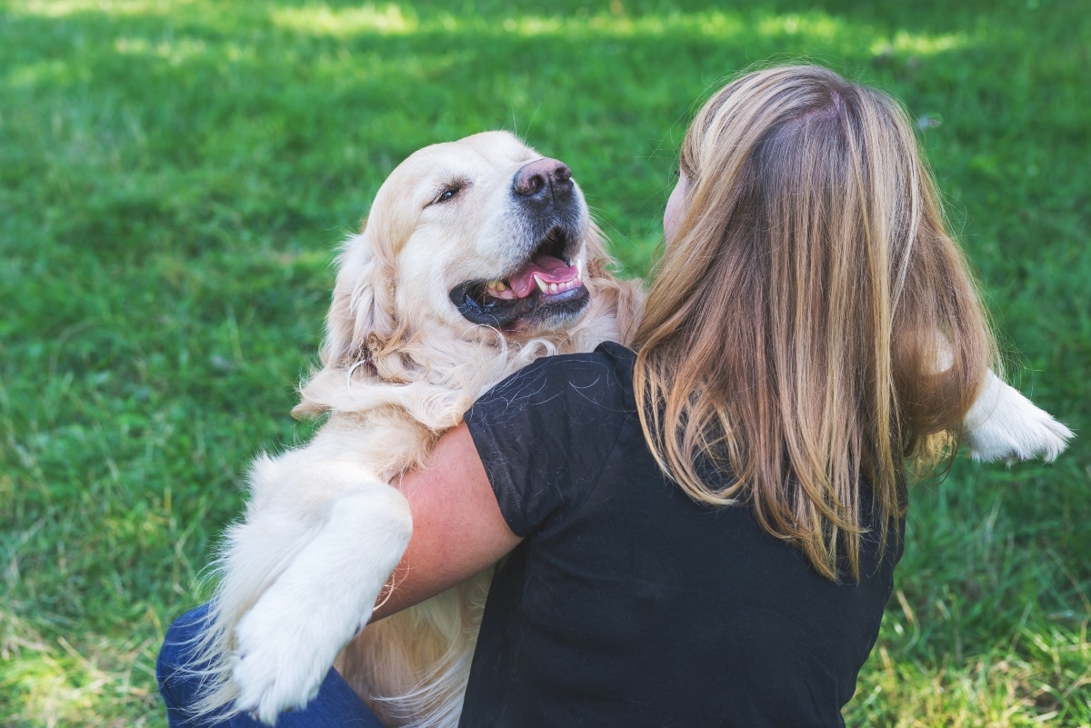 13 Wonderful Things Only Dog Lovers Understand 13 Wonderful Things Only Dog Lovers Understand