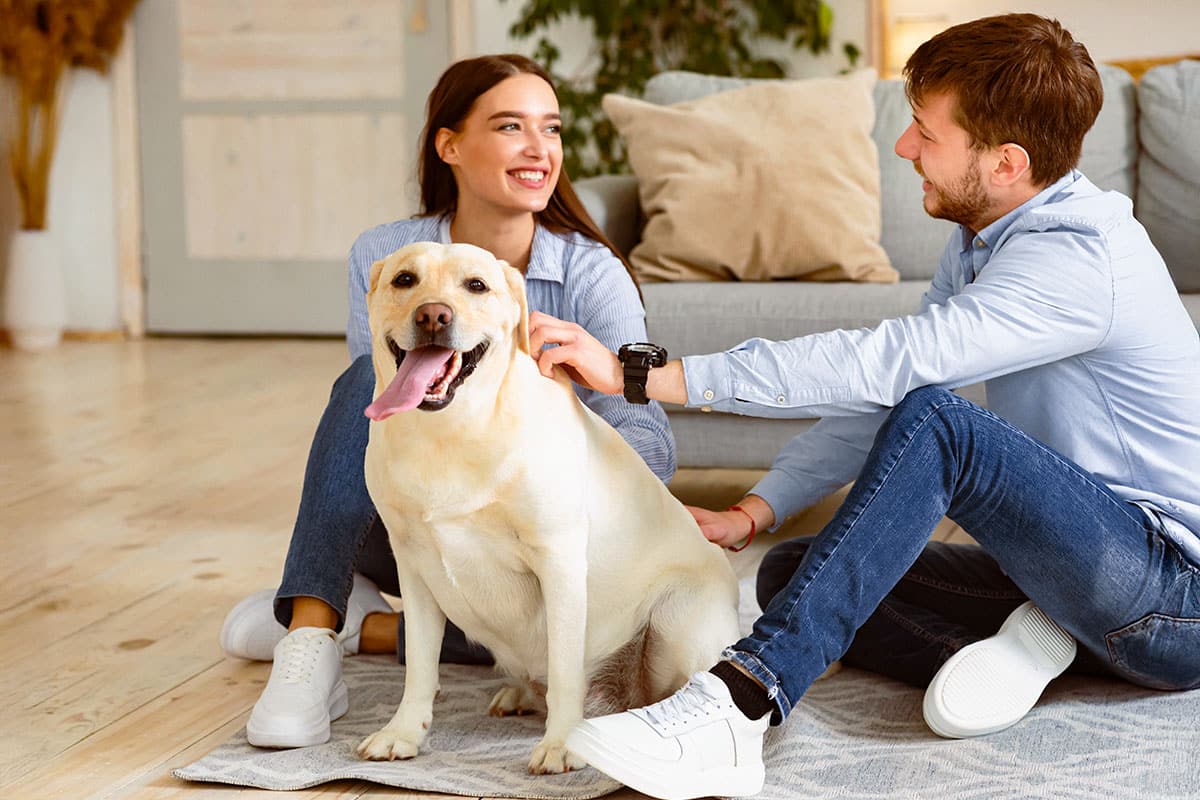 15 Top Dog Breeds for First-Time Dog Parents 15 Top Dog Breeds for First-Time Dog Parents