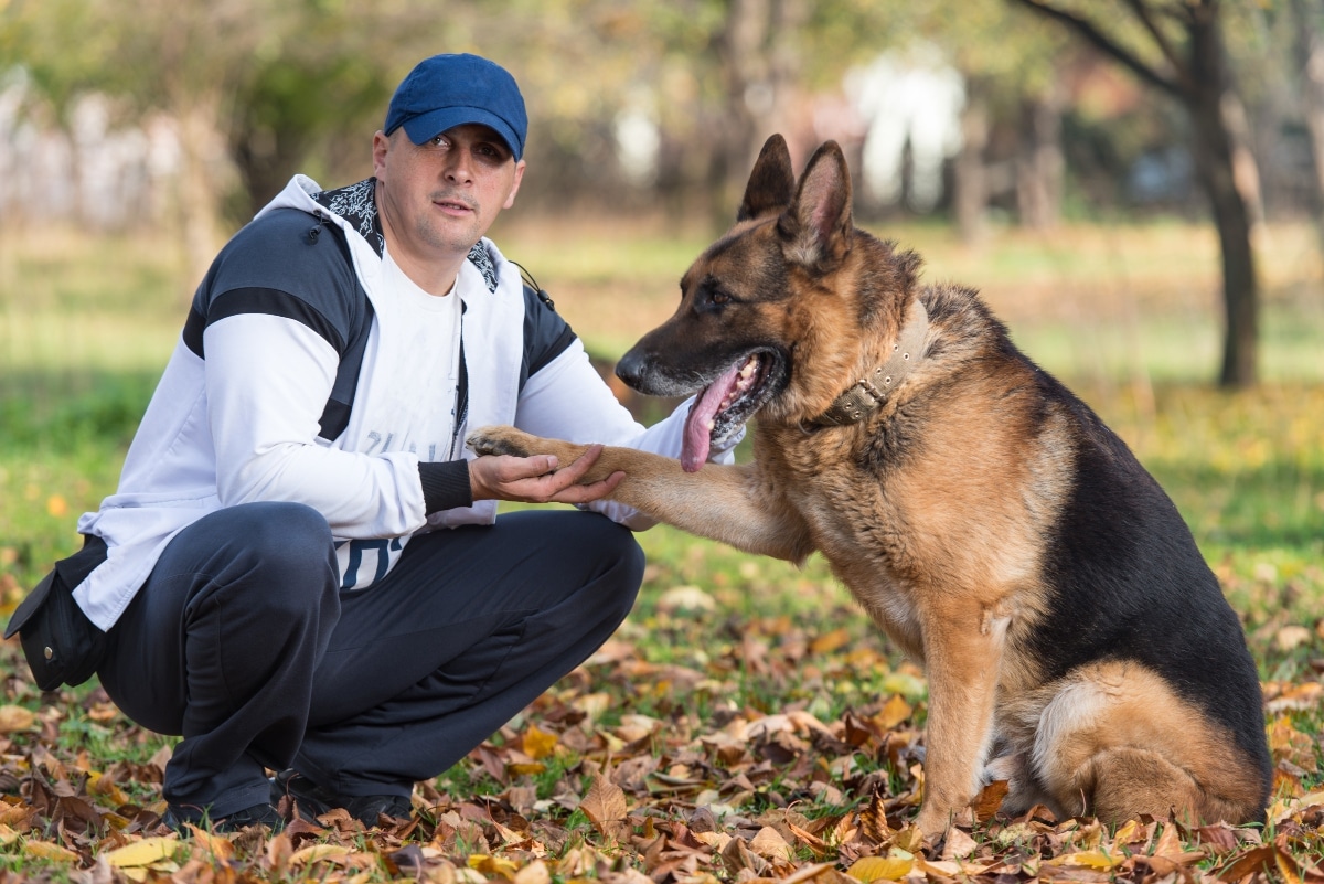 9 Dog Breeds That’ll Surprise You With Their Gentle Side 9 Dog Breeds That’ll Surprise You With Their Gentle Side