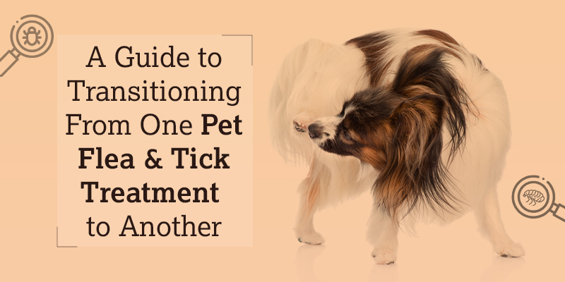 A Guide to Transitioning From One Pet Flea & Tick Treatment to Another A Guide to Transitioning From One Pet Flea & Tick Treatment to Another