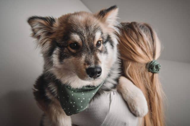 Amazon’s Best Matching Gear For Dogs & Their Humans Amazon’s Best Matching Gear For Dogs & Their Humans