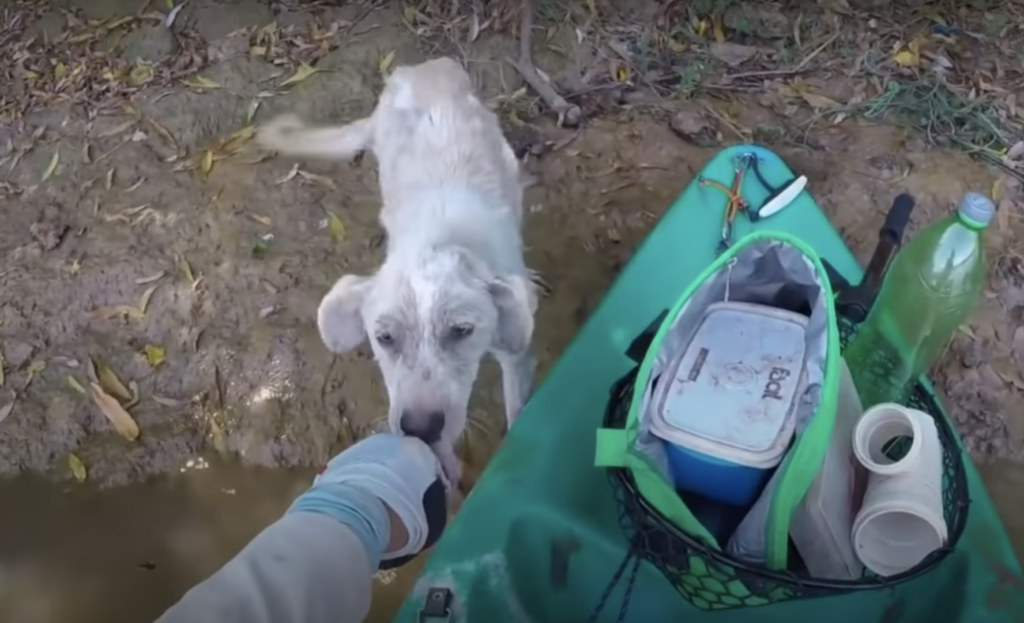 Stranded, Starving, and Alone. Until a Stranger in a Kayak Changed Everything. Stranded, Starving, and Alone. Until a Stranger in a Kayak Changed Everything.