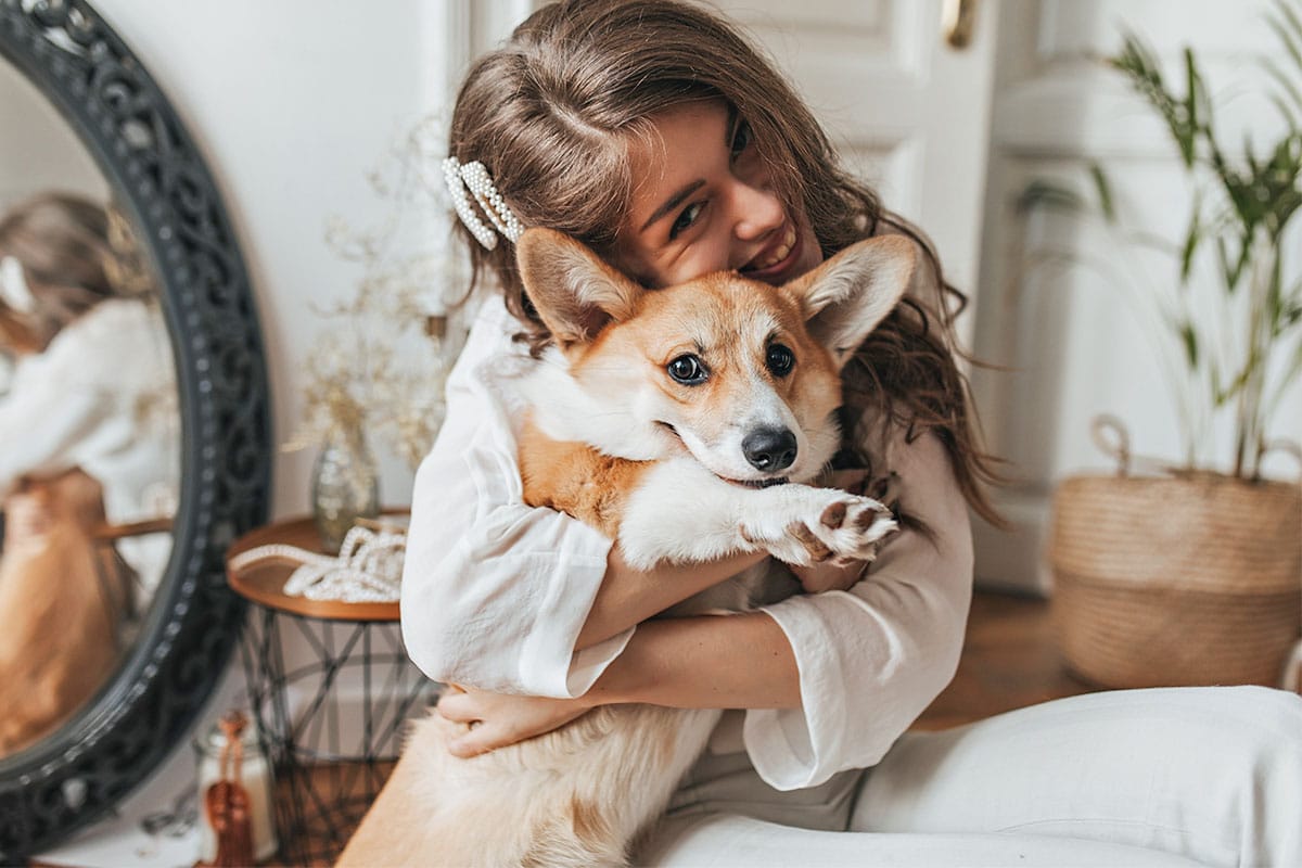 Top 13 Needy Dog Breeds You’ll Adore Top 13 Needy Dog Breeds You’ll Adore