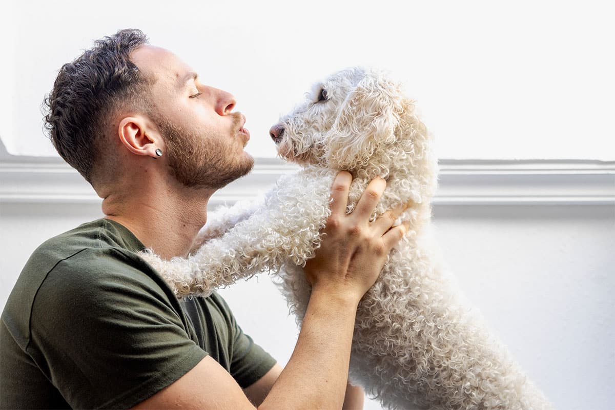 11 Dog Breeds That Thrive On Constant Affection 11 Dog Breeds That Thrive On Constant Affection