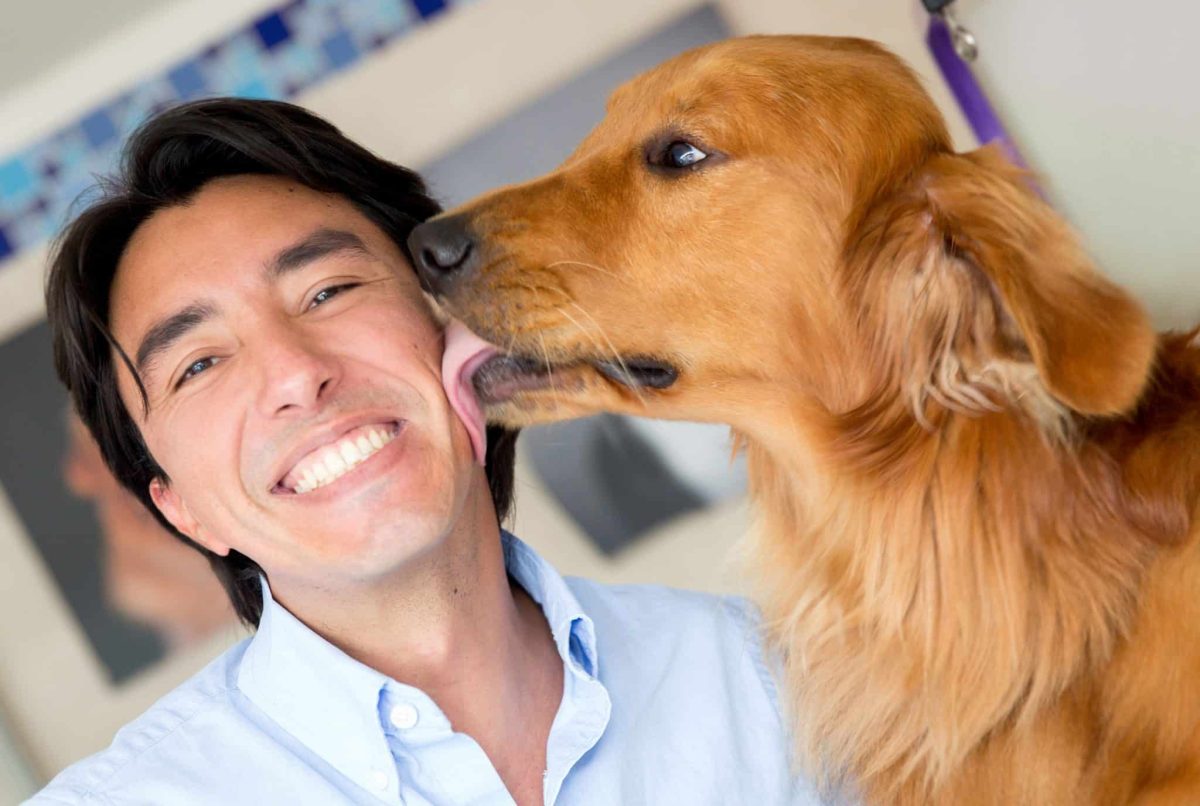 11 Reasons Dogs Lick More Than Just Your Face 11 Reasons Dogs Lick More Than Just Your Face