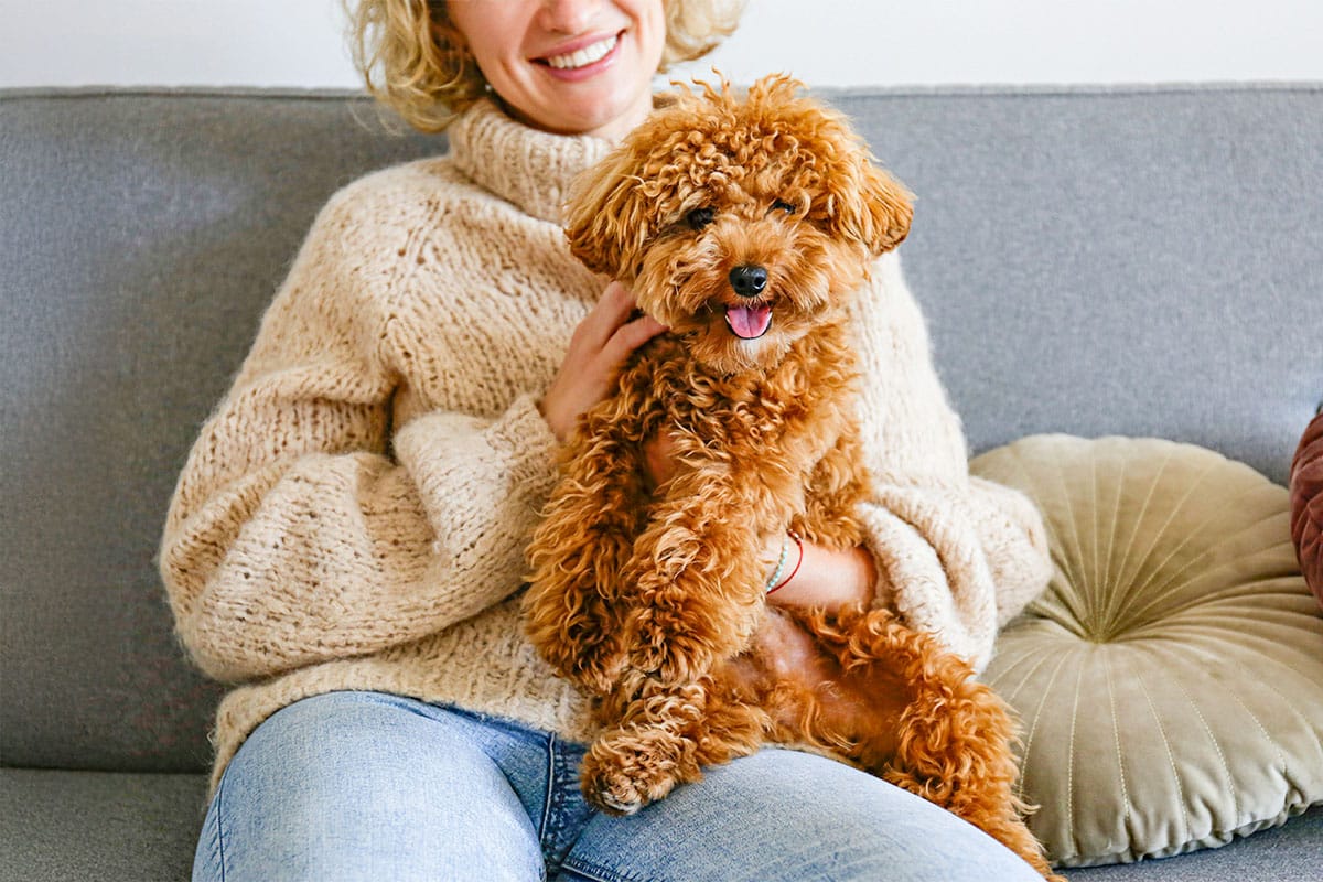 13 Dog Breeds That Respond To Your Every Mood 13 Dog Breeds That Respond To Your Every Mood