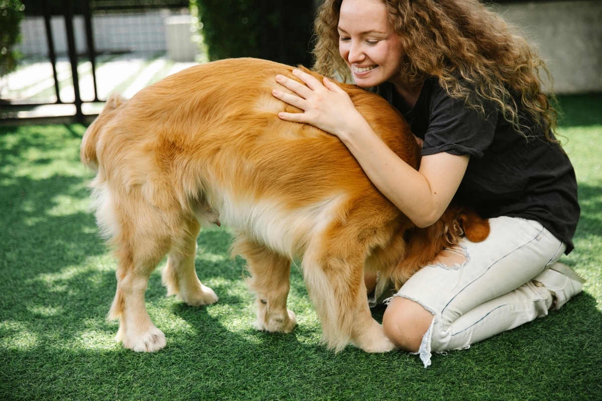 13 Dog Breeds That’ll Never Turn Down A Cuddle 13 Dog Breeds That’ll Never Turn Down A Cuddle