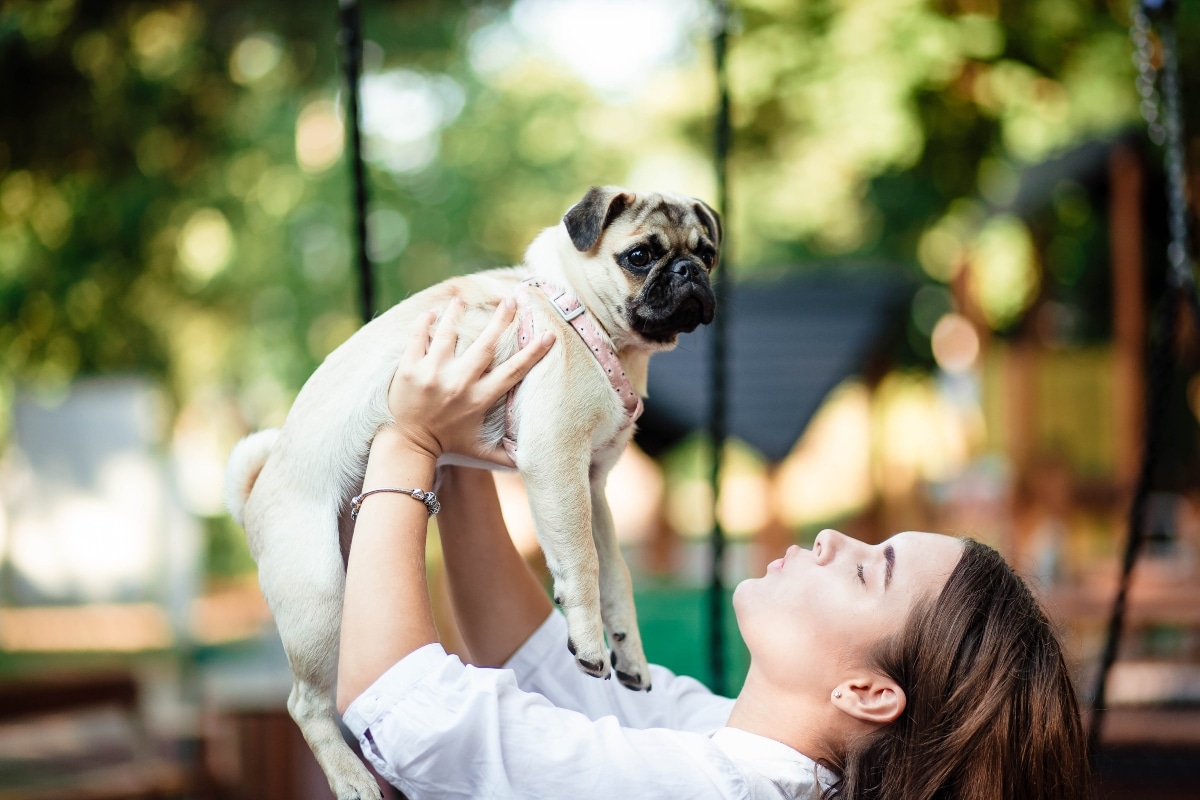 15 Joyful Dog Breeds That Love Life To The Fullest 15 Joyful Dog Breeds That Love Life To The Fullest