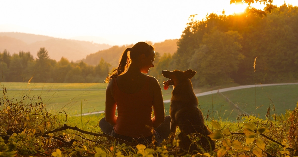 6 Best Organic Dog Foods of 2025
