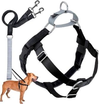 Celebrate Responsible Dog Ownership Month with These 35 Amazon Essentials Celebrate Responsible Dog Ownership Month with These 35 Amazon Essentials