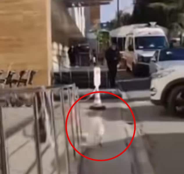 Devoted Dog Waits Outside Hospital for 6-Days Until Owner Is Released Devoted Dog Waits Outside Hospital for 6-Days Until Owner Is Released
