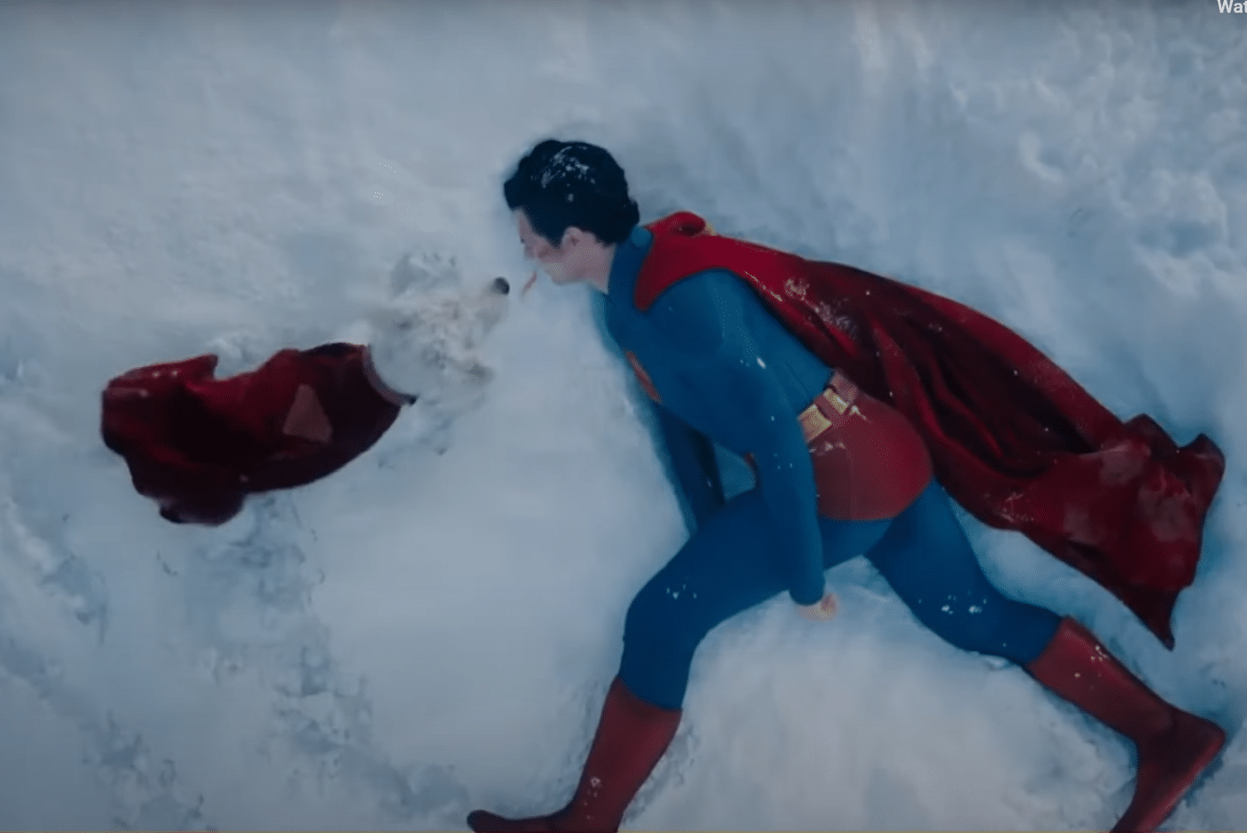 Krypto the Superdog Sparks “Surge” in Dog Adoptions after Superman Film Release