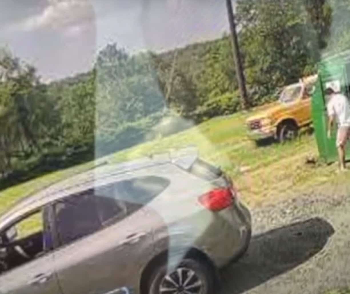 Man Caught on Video Dumping Dog in Dumpster and Driving Off Man Caught on Video Dumping Dog in Dumpster and Driving Off
