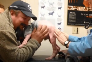 Man Returned To Adopt The Dog He Rescued, And The Pup Couldn’t Be Happier Man Returned To Adopt The Dog He Rescued, And The Pup Couldn’t Be Happier