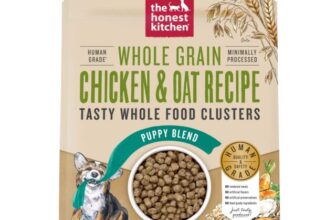 Ultimate Golden Retriever Puppy Shopping List: Checklist of 25 Must-Have Items