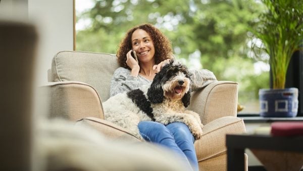 10 Tips for Your Dog’s First Boarding Experience