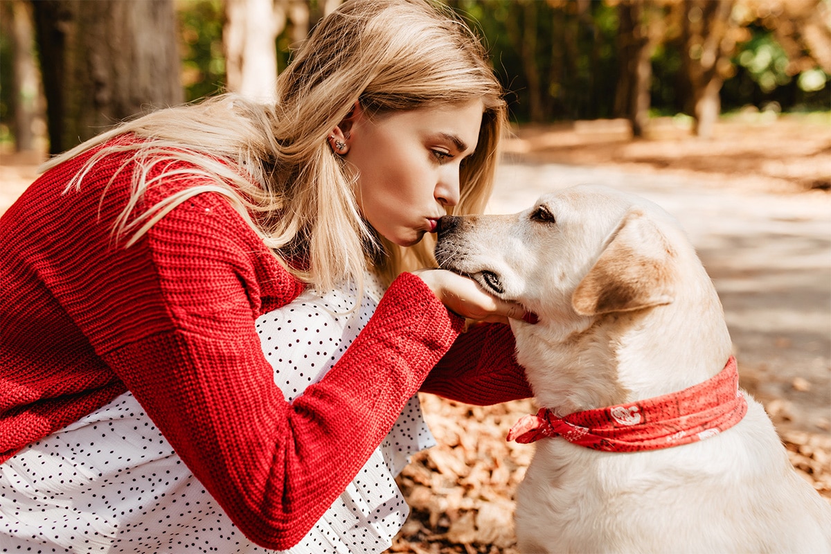 11 Heartwarming Facts About A Dog’s Emotional World