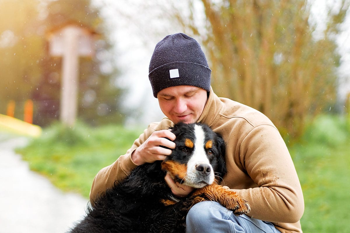 11 Most Obedient Dog Breeds With Great Manners 11 Most Obedient Dog Breeds With Great Manners