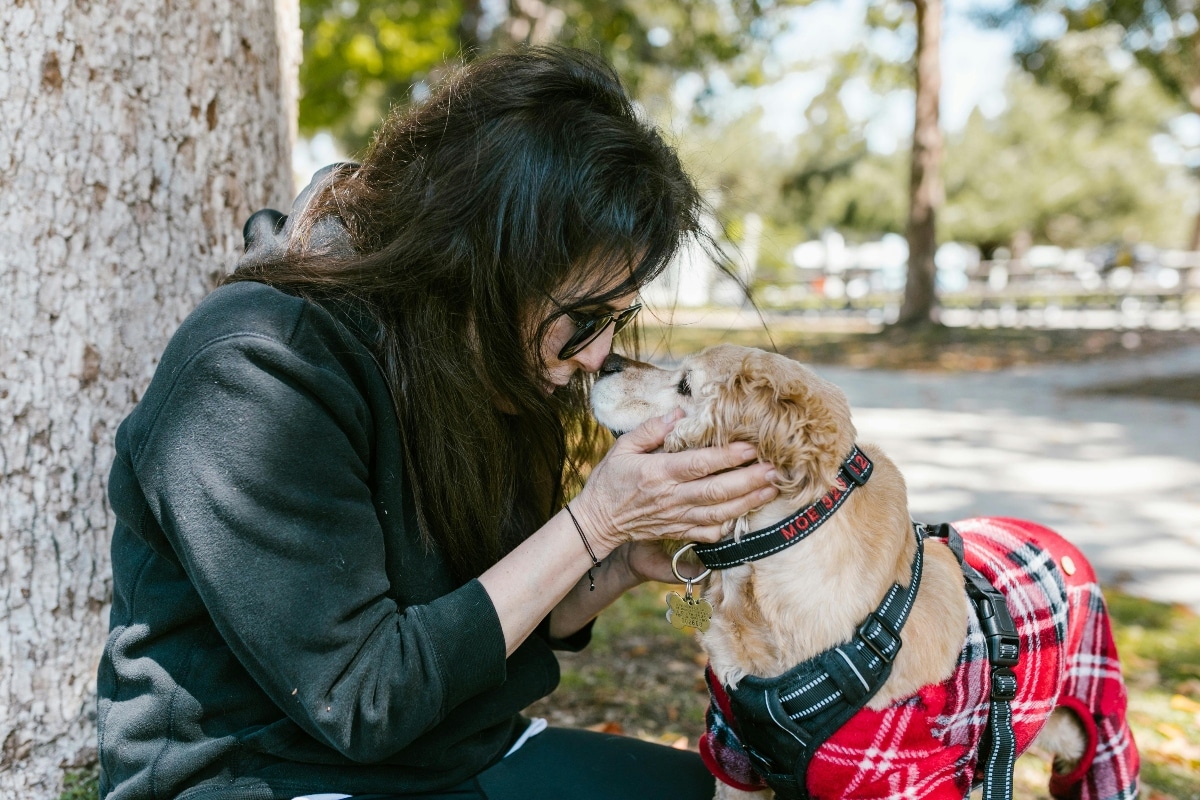 11 Selective Dog Breeds With One Favorite Human 11 Selective Dog Breeds With One Favorite Human