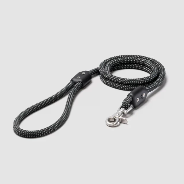 12 Best Leashes for Big Dogs