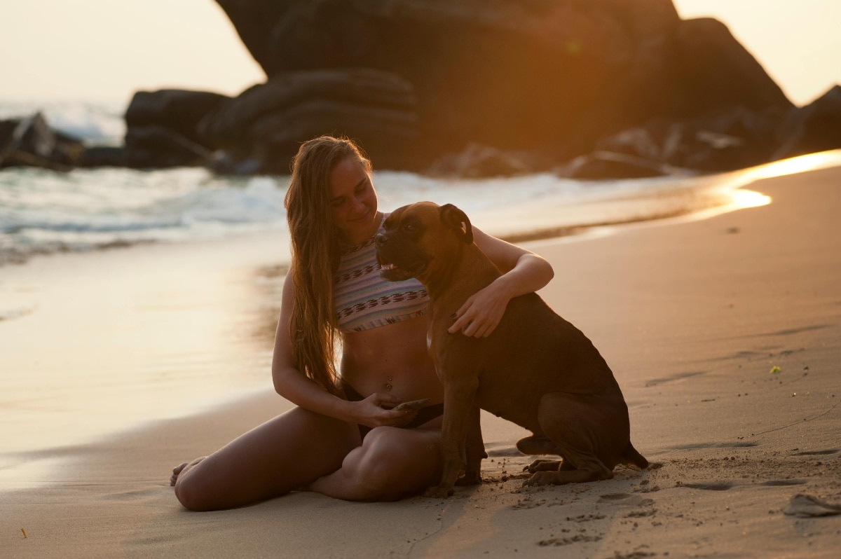 13 Devoted Dog Breeds With Deep Emotional Connections 13 Devoted Dog Breeds With Deep Emotional Connections