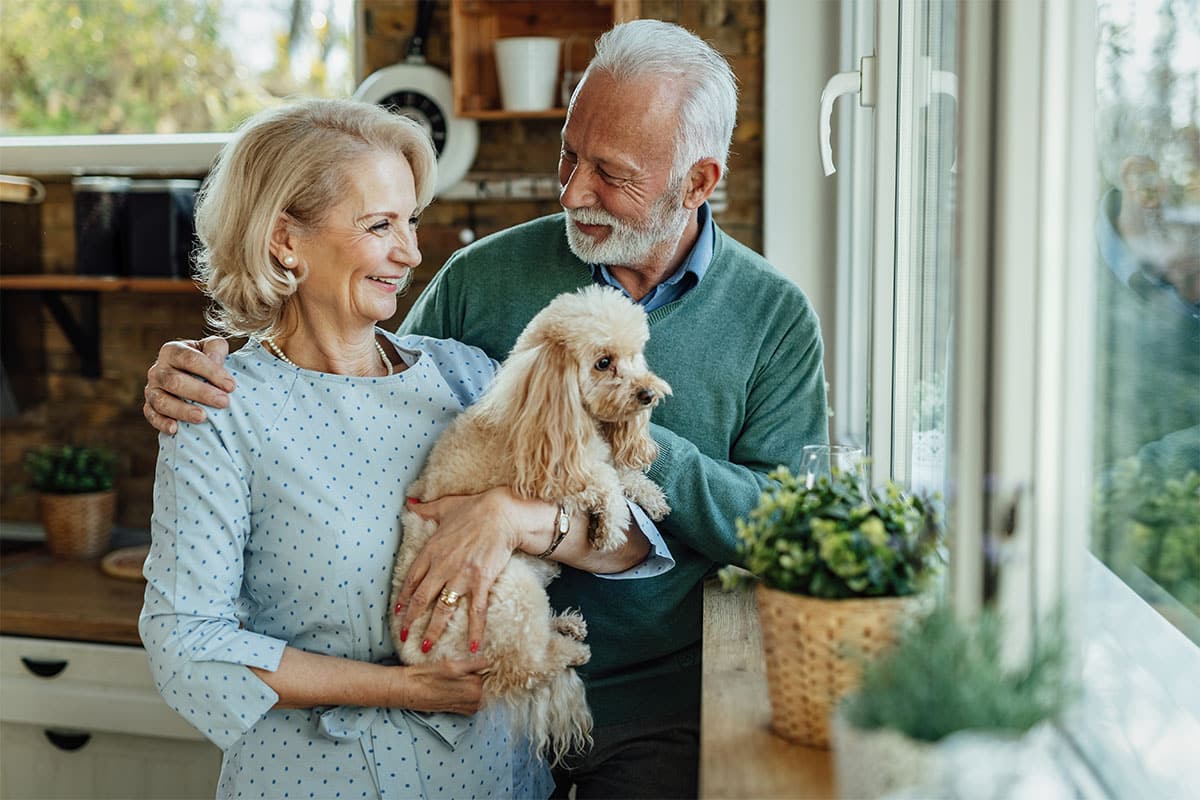 13 Senior-Friendly Dog Breeds Beloved By Older Owners 13 Senior-Friendly Dog Breeds Beloved By Older Owners
