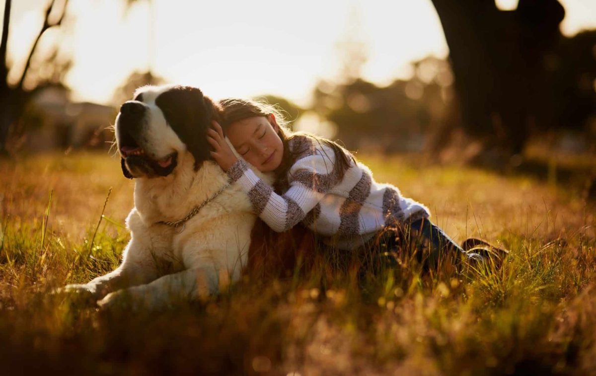 15 Fierce Dog Breeds That’ll Surprise You With Devotion