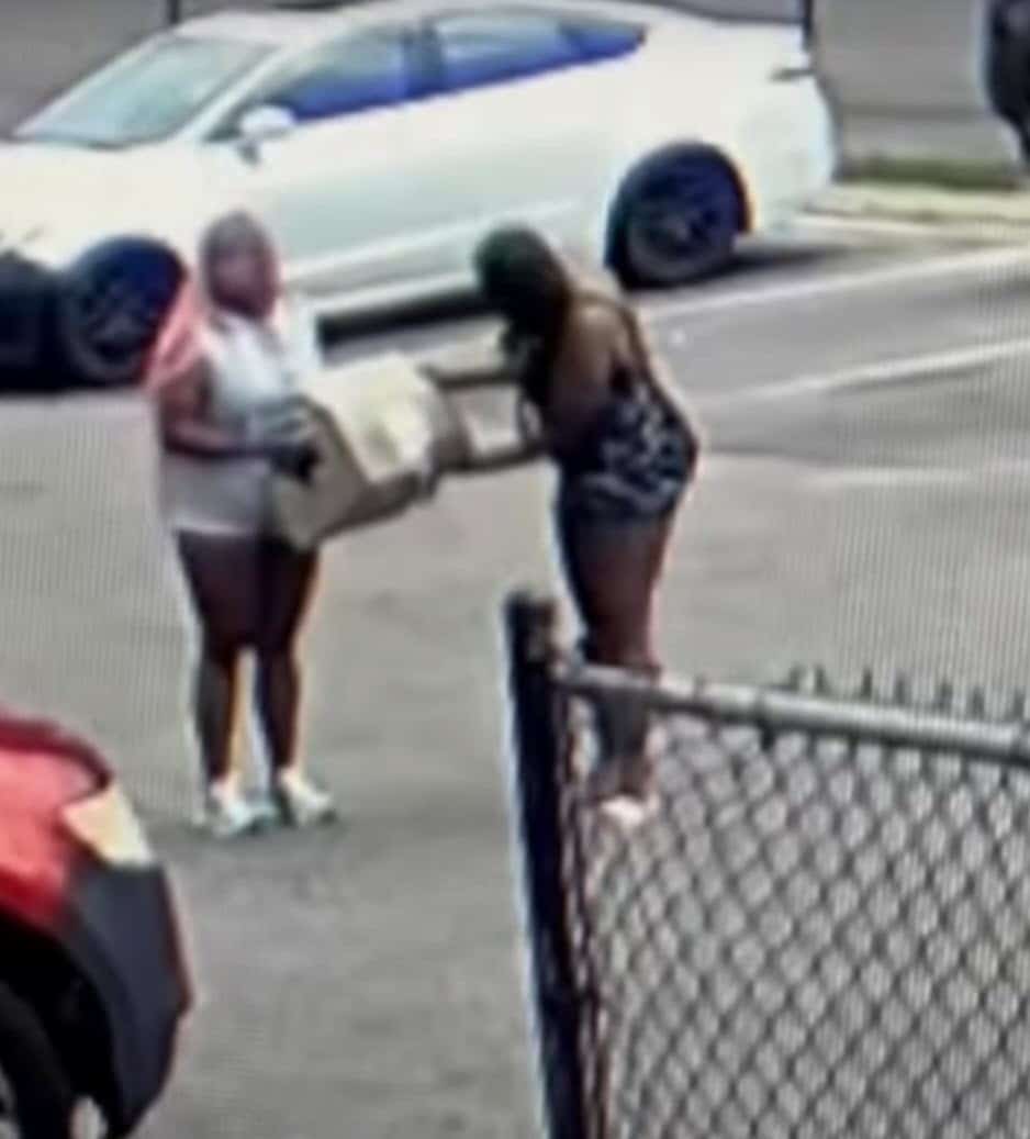 Box of Puppies Were Dumped At a Local Shelter Doorstep, Cops Investigating Box of Puppies Were Dumped At a Local Shelter Doorstep, Cops Investigating