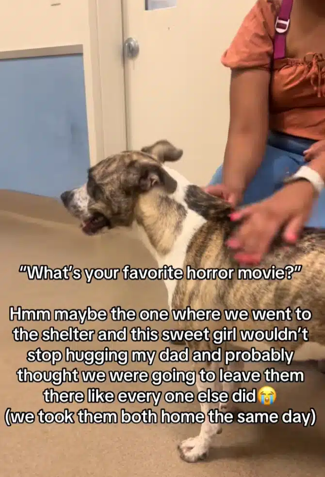 Family Adopts Two Dogs After Saying They Wouldn’t Take Any Home Family Adopts Two Dogs After Saying They Wouldn’t Take Any Home