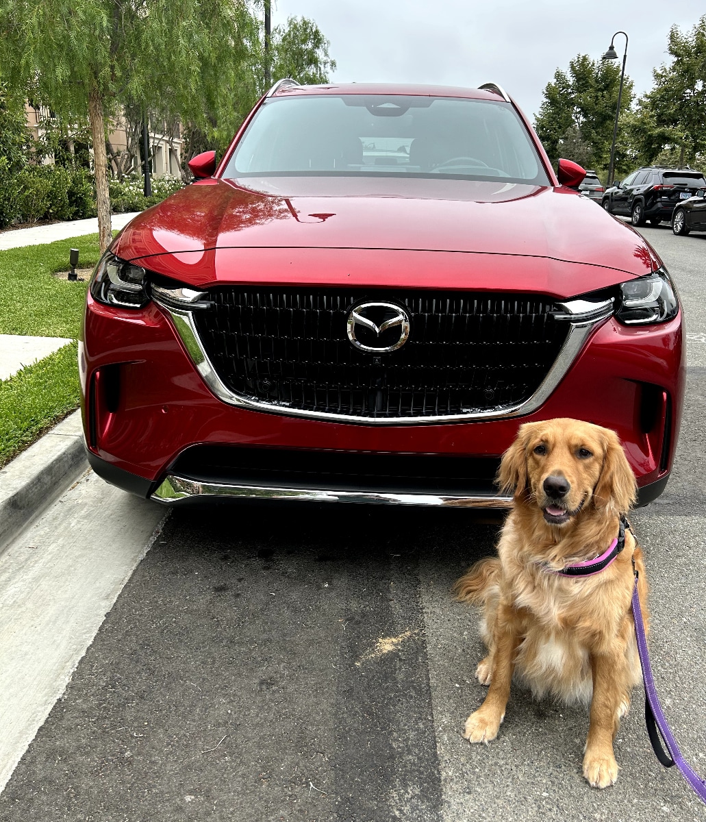 Is the 2025 Mazda CX-90 the Best Dog-Friendly SUV? Is the 2025 Mazda CX-90 the Best Dog-Friendly SUV?