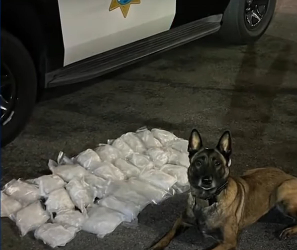 K9 Officers Sniff Out Meth And Make Massive Bust During Highway Stop K9 Officers Sniff Out Meth And Make Massive Bust During Highway Stop