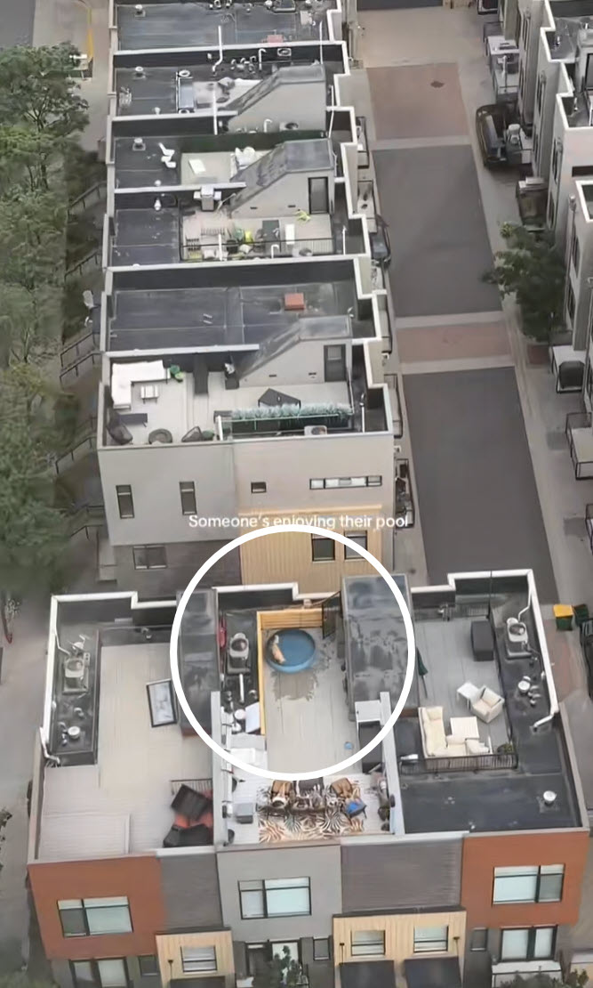 Man Notices Golden Retriever Enjoying Pool Below, But Then He Zooms In
