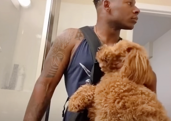 Man On Doggy Roadtrip Finds Puppy In Desert That Wants To Join Them Man On Doggy Roadtrip Finds Puppy In Desert That Wants To Join Them