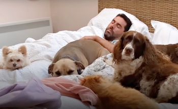 Man’s Giant Pack Of Rescue Animals Has Him Well-Trained Man’s Giant Pack Of Rescue Animals Has Him Well-Trained