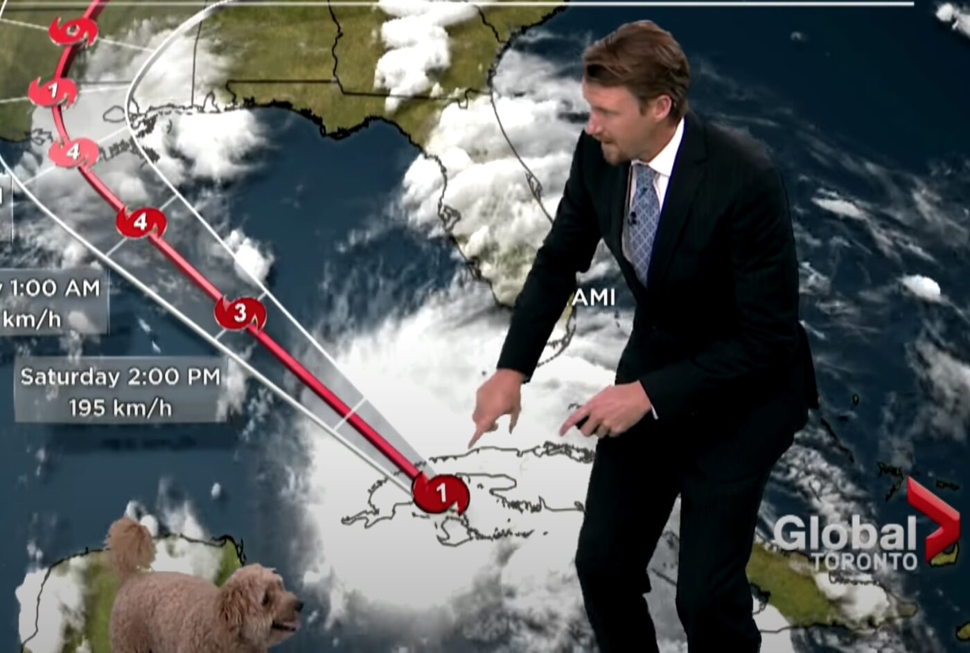 Meteorologist’s Dog Interrupts Weathercast In Search Of Treats Meteorologist’s Dog Interrupts Weathercast In Search Of Treats