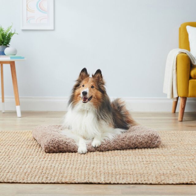 MidWest Dog Bed Review: Perfect For Cozy Crates MidWest Dog Bed Review: Perfect For Cozy Crates