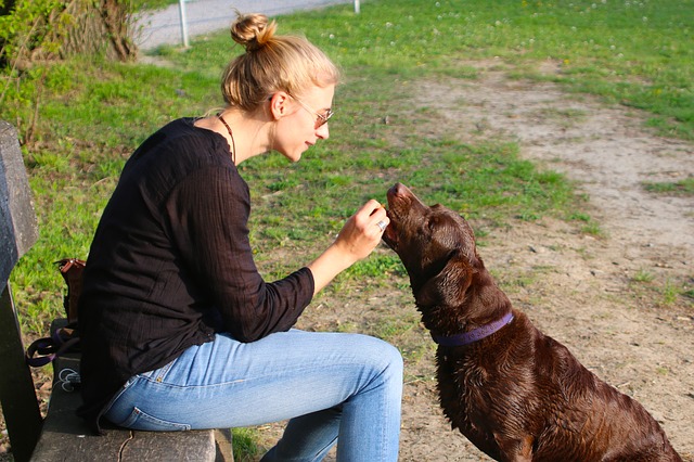 People Who Talk To Their Pets Are Smarter Than Those Who Don’t People Who Talk To Their Pets Are Smarter Than Those Who Don’t
