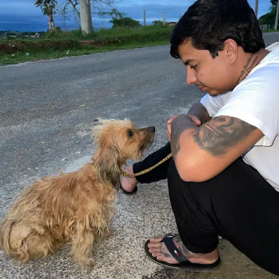 Rescued Street Puppy Overcomes Illness and Learns to Trust Again Rescued Street Puppy Overcomes Illness and Learns to Trust Again