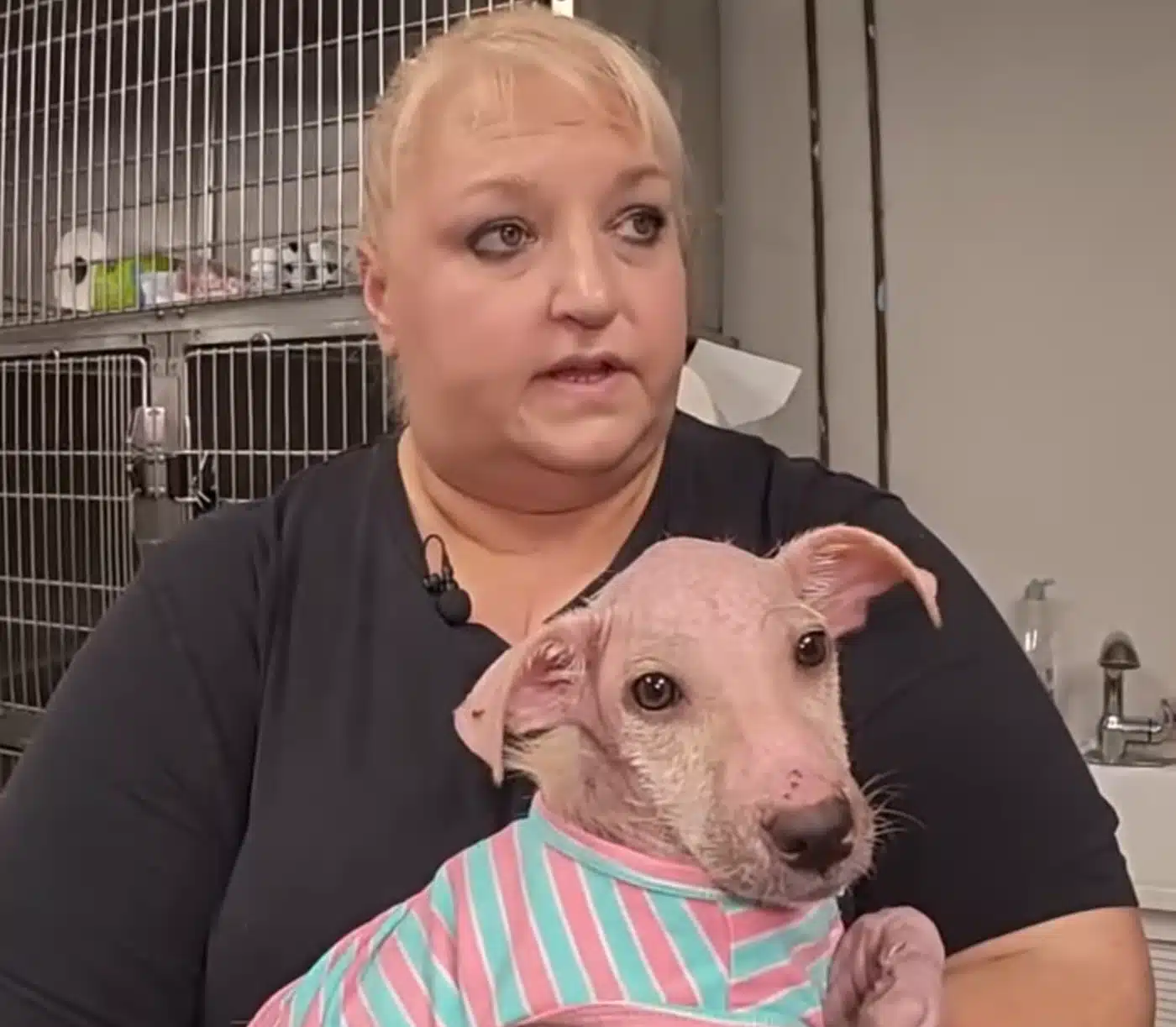 Severely Neglected Dog With Mange Is Now Unrecognizable