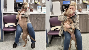 Shelter Dog Whips Head Around When Woman Calls Him By His Real Name