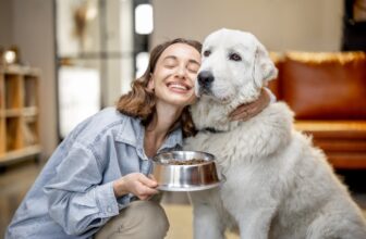 The 12 Best Dog Foods-2025