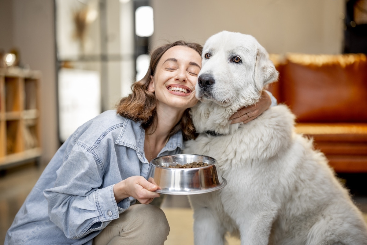 The 12 Best Dog Foods-2025