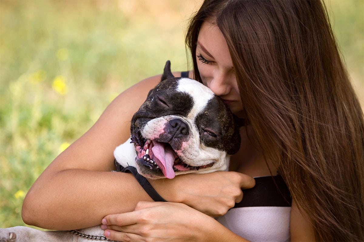 The Ultimate 11 Dog Breeds For Cuddling All Day Long The Ultimate 11 Dog Breeds For Cuddling All Day Long