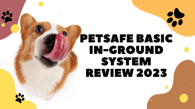 Ultimate Protection For Pets While Outdoors: PetSafe Basic In-Ground System Review 2025 Ultimate Protection For Pets While Outdoors: PetSafe Basic In-Ground System Review 2025