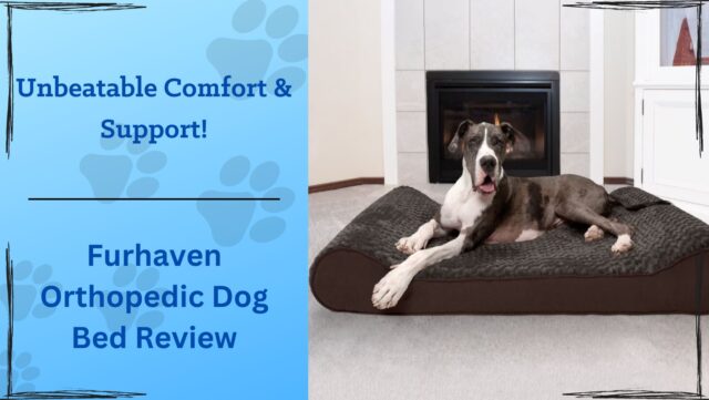 Unbeatable Comfort and Support: Furhaven Orthopedic Dog Bed Review (2025) Unbeatable Comfort and Support: Furhaven Orthopedic Dog Bed Review (2025)