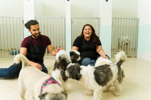 What’s Best For You & Your Dog?